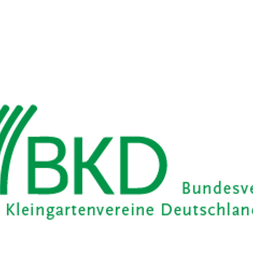 BKD informiert 02/2025